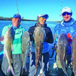 Capturamos grandes y abundantes bagres de mar en el Paraná Bravo, partiendo desde Villa Paranacito, Entre Ríos.