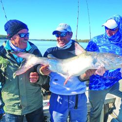 Capturamos grandes y abundantes bagres de mar en el Paraná Bravo, partiendo desde Villa Paranacito, Entre Ríos.