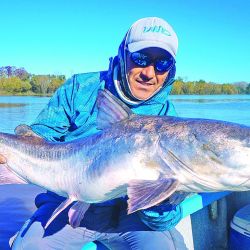 Capturamos grandes y abundantes bagres de mar en el Paraná Bravo, partiendo desde Villa Paranacito, Entre Ríos.