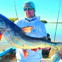 Capturamos grandes y abundantes bagres de mar en el Paraná Bravo, partiendo desde Villa Paranacito, Entre Ríos.