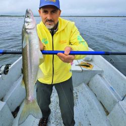 Calidad superlativa en un momento difícil para otras lagunas. Ejemplares de 40 cm capturados con líneas de 1,50 m máximo, en un ámbito que no supera los dos metros de profundidad.