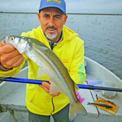 Calidad superlativa en un momento difícil para otras lagunas. Ejemplares de 40 cm capturados con líneas de 1,50 m máximo, en un ámbito que no supera los dos metros de profundidad.