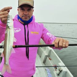Calidad superlativa en un momento difícil para otras lagunas. Ejemplares de 40 cm capturados con líneas de 1,50 m máximo, en un ámbito que no supera los dos metros de profundidad.