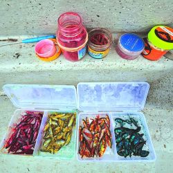 Calidad superlativa en un momento difícil para otras lagunas. Ejemplares de 40 cm capturados con líneas de 1,50 m máximo, en un ámbito que no supera los dos metros de profundidad.