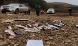 Guardafaunas secuestraron 39 truchas a furtivos en el sur 