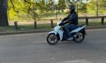 Honda Wave, reina indiscutida