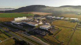 McCain cumple 30 años en la Argentina y proyecta inversiones por u$s 100 M en 5 años. 