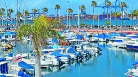 Gran Canaria fusiona aventura y patrimonio. Allí dominan las olas con windsurf en su costa este. Y en Vegueta la majestuosa Catedral de Santa Ana guarda siglos de historia.