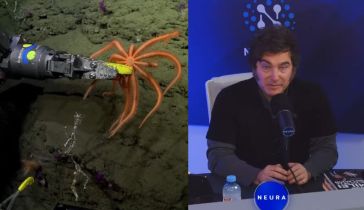 El vivo del CONICET y Javier Milei