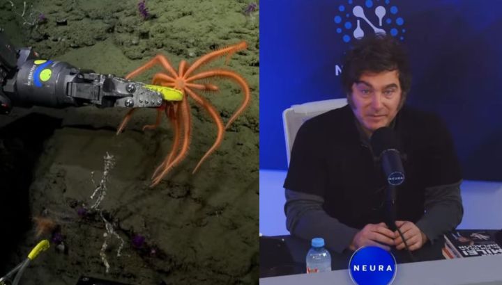 Cuánto midió la competencia entre el vivo del CONICET y la entrevista de Javier Milei con Alejandro Fantino en Neura