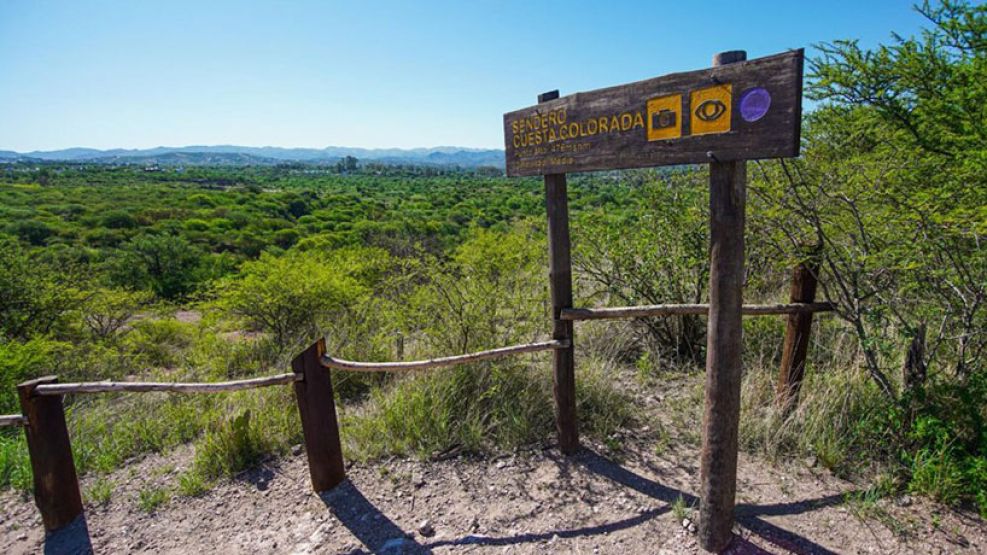 Reserva - San Martin