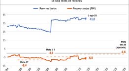 030825_dolares_reservas_brutas_liquidas_netas_gp_g