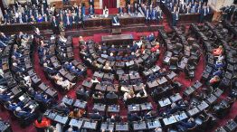 030825_milei_congreso_cuarterolo_g