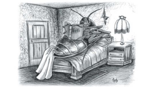 03_08_2025_metamorfosis_kafka_cedoc_g