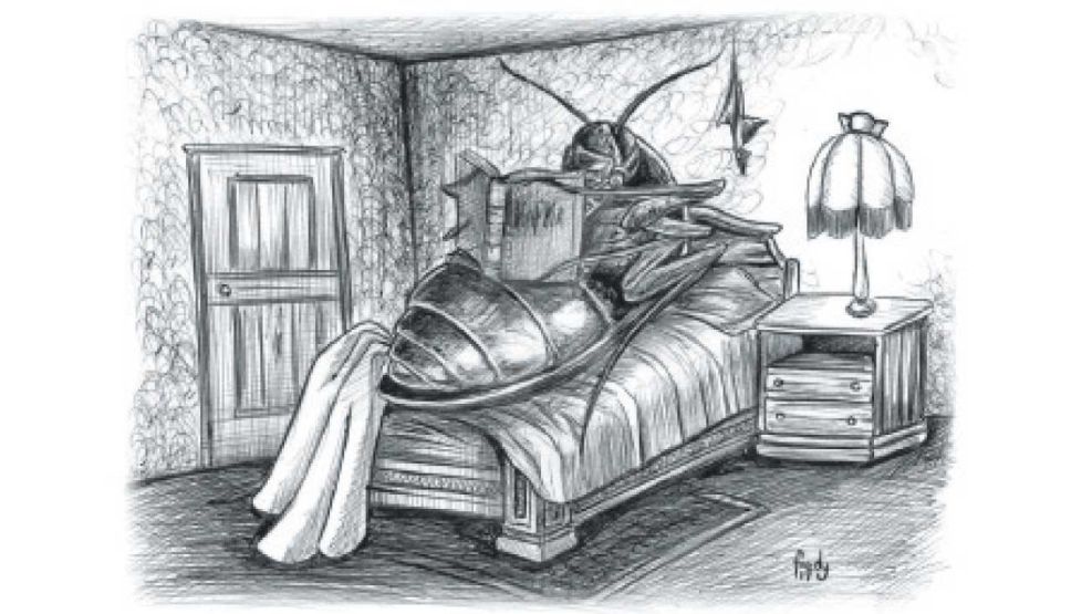 03_08_2025_metamorfosis_kafka_cedoc_g