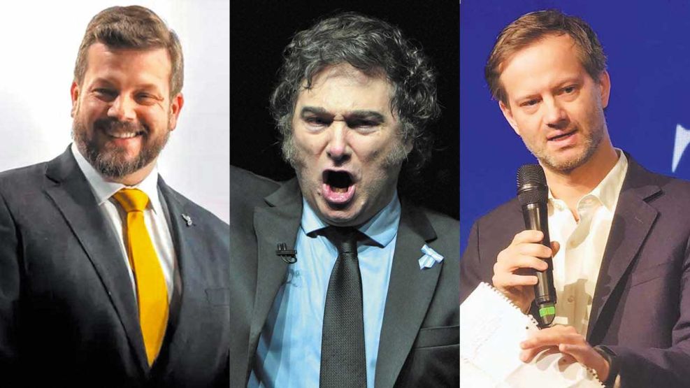 03_08_2025_milei_kaiser_cedoc_g