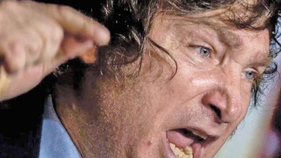 030825_milei_cedoc_g