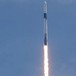 La misión Crew 11 está en marcha.