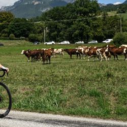La ciclista neerlandesa de Trek, Riejanne Markus, participa en una escapada durante la octava etapa (de 9) de la cuarta edición del Tour de Francia femenino, una carrera ciclista de 111,9 km entre Chambéry y Saint-François-Longchamp, cerca de La Compote, en el sureste de Francia. | Foto:JULIEN DE ROSA / AFP