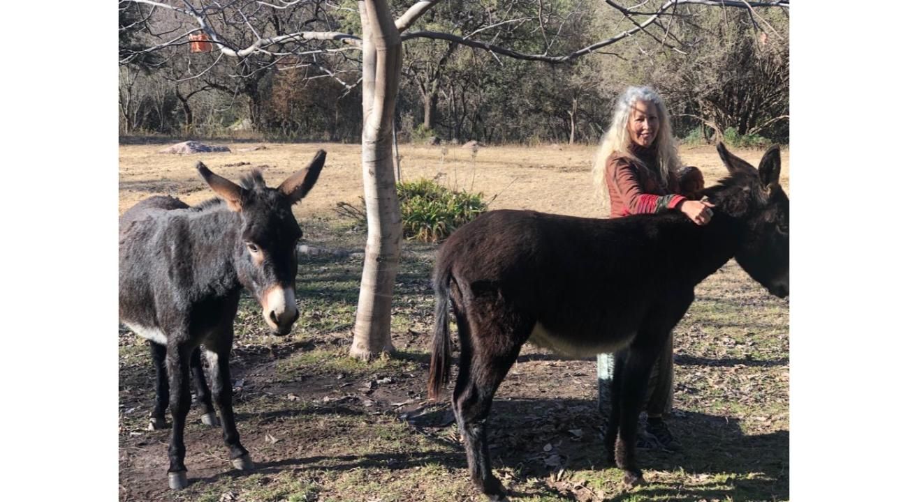 El alma del mundo está despertando: guía esencial de la Dra. Claudia Sánchez