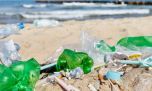 Científicos afirman que los plásticos perdidos del océano ya están dentro del cuerpo humano