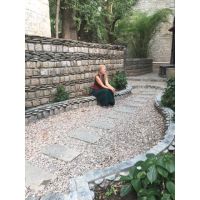 El alma del mundo está despertando: guía esencial de la Dra. Claudia Sánchez
