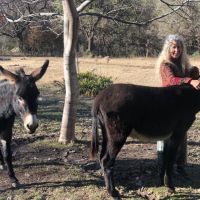 El alma del mundo está despertando: guía esencial de la Dra. Claudia Sánchez