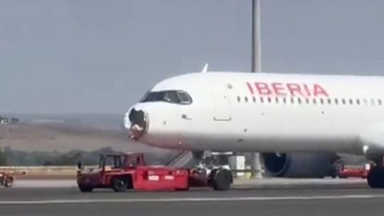 Madrid: un avión de Iberia aterrizó de emergencia tras impactar con un pájaro
