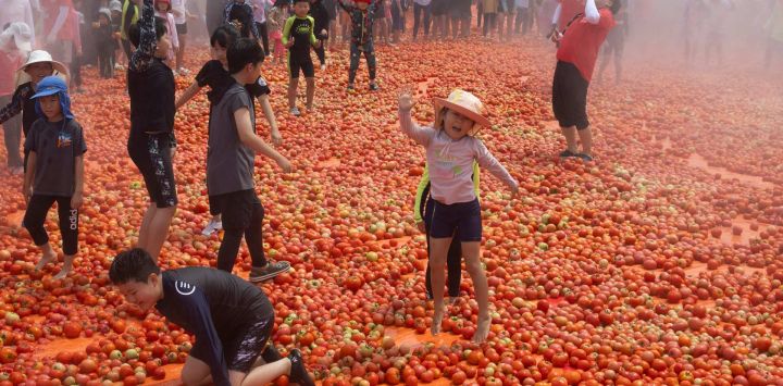 Personas juegan en una piscina de tomates durante el Festival del Tomate de Hwacheon, en Hwacheon-gun, República de Corea.