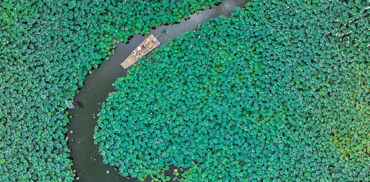 Vista aérea tomada con un dron de turistas navegando en bote, en la aldea de Chengkan, en el distrito de Huizhou de la ciudad de Huangshan, en la provincia de Anhui, en el este de China.