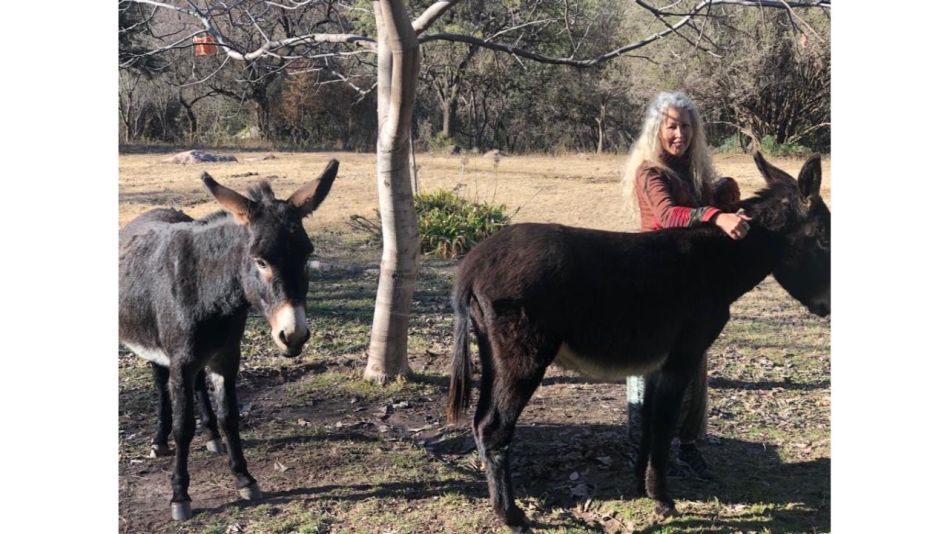 El alma del mundo está despertando: guía esencial de la Dra. Claudia Sánchez