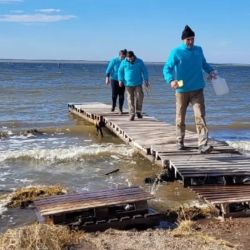 El estudio, a cargo del equipo técnico de la Dirección Provincial de Pesca, dependiente del Ministerio de Desarrollo Agrario de la Provincia de Buenos Aires, arrojaron una ausencia total de pejerrey. 