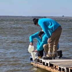 El estudio, a cargo del equipo técnico de la Dirección Provincial de Pesca, dependiente del Ministerio de Desarrollo Agrario de la Provincia de Buenos Aires, arrojaron una ausencia total de pejerrey. 