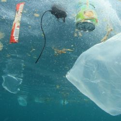 Cada vez hay más plásticos en los océanos.