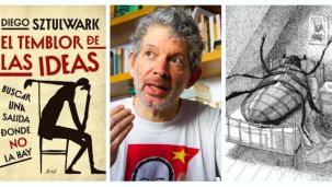 El temblor de las ideas, Diego Stulwark