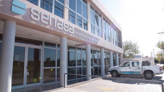 Bernardo Cané sobre la resolución del SENASA por la fiebre aftosa: “Decididamente cometieron un error”