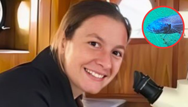 Quién es Nadia Cerino, la bióloga que se viralizó tras su participación en el vivo del CONICET