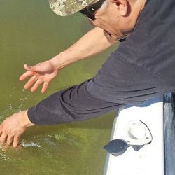 Con un lago en un nivel normal para la época, y con una coloración que no es lo clara que debiera estar, Santiago del Estero se vuelve a posicionar como una excelente opción para ir por los buenos lingotes dorados. 
