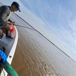 Tanto con señuelos como con carnada o mosca, buenos dorados se prenden para deleite de los aficionados. 