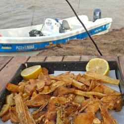 Tanto con señuelos como con carnada o mosca, buenos dorados se prenden para deleite de los aficionados. 