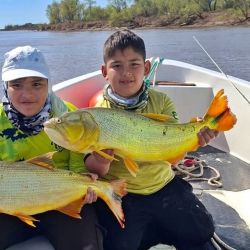 Tanto con señuelos como con carnada o mosca, buenos dorados se prenden para deleite de los aficionados. 