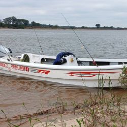 El rinde en esta zona es mayor a otras. Los surubíes encontraron buenas condiciones y se quedaron por Empedrado. 