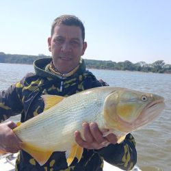 El rinde en esta zona es mayor a otras. Los surubíes encontraron buenas condiciones y se quedaron por Empedrado. 