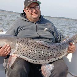 El surubí, salvo días excepcionales, no está muy acardumado lo que obliga a trabajar y a buscar los puntos más rendidores. La experiencia de un buen guía allana caminos. 