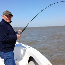 El rinde en esta zona es mayor a otras. Los surubíes encontraron buenas condiciones y se quedaron por Empedrado. 