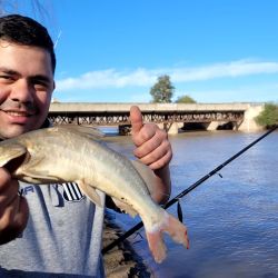 Bagres blancos y bogas dieron buenas batallas a los distintos pescadores. Esa variedad permitió suplir la ausencia de la especie más buscada, el dorado, pez que no mostró su presencia en esta ocasión.