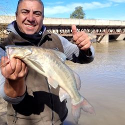 Bagres blancos y bogas dieron buenas batallas a los distintos pescadores. Esa variedad permitió suplir la ausencia de la especie más buscada, el dorado, pez que no mostró su presencia en esta ocasión.