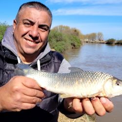Bagres blancos y bogas dieron buenas batallas a los distintos pescadores. Esa variedad permitió suplir la ausencia de la especie más buscada, el dorado, pez que no mostró su presencia en esta ocasión.