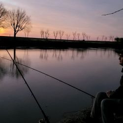 Bagres blancos y bogas dieron buenas batallas a los distintos pescadores. Esa variedad permitió suplir la ausencia de la especie más buscada, el dorado, pez que no mostró su presencia en esta ocasión.