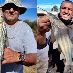 Bagres blancos y bogas dieron buenas batallas a los distintos pescadores. Esa variedad permitió suplir la ausencia de la especie más buscada, el dorado, pez que no mostró su presencia en esta ocasión.